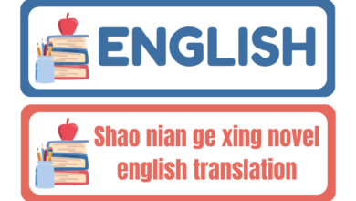 shao nian ge xing novel english translation​